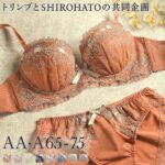 【送料無料】 ブラジャー ショーツ セット キューティハート＆リボン通し AA A トリンプとSHIROHATOの共同企画 下着 レディース ブラ＆ショーツ ブラ ブラセット ブラショーツ 上下セット セットアップ 小さいサイズ 小胸 小さめ シンデレラカップ AAカップ