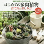 はじめての多肉植物育て方＆楽しみ方　基礎の基礎からよくわかる／国際多肉植物協会【3000円以上送料無料】